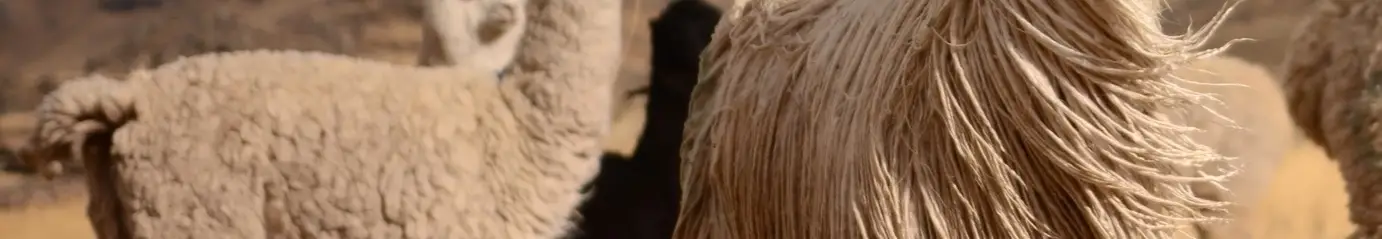Alpaca dekbed